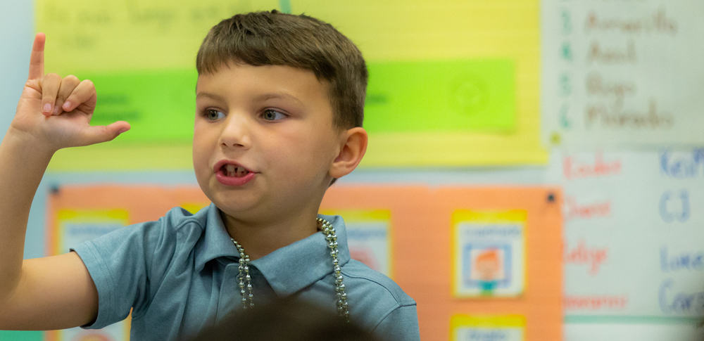 A student raises his hand in the classroom